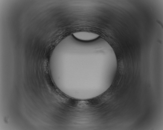 X0000102020222200807180950
