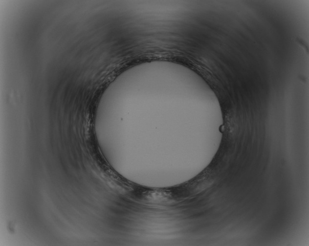 X0000102020223200807180950