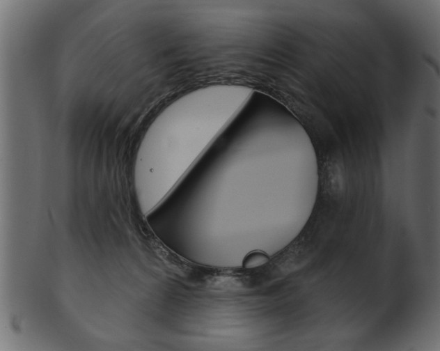 X0000102020224200807180950