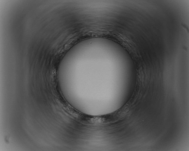 X0000102020225200807180950