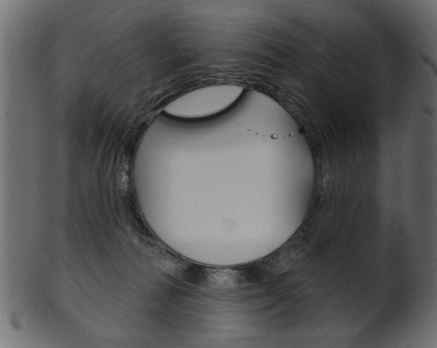X0000102020226200807180950