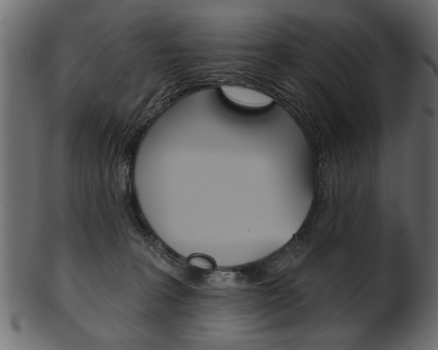 X0000102020227200807180950