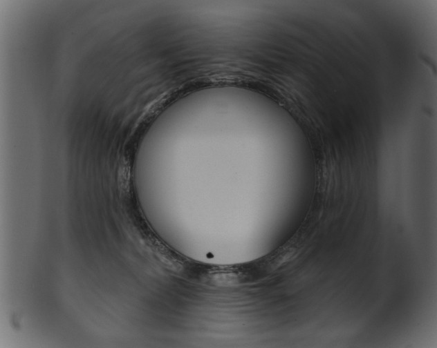 X0000102020228200807180950