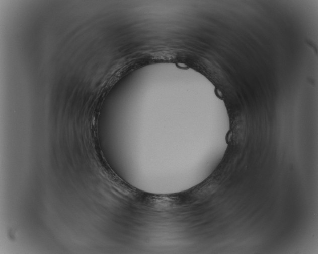 X0000102020229200807180950