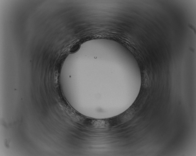 X0000102020230200807180950
