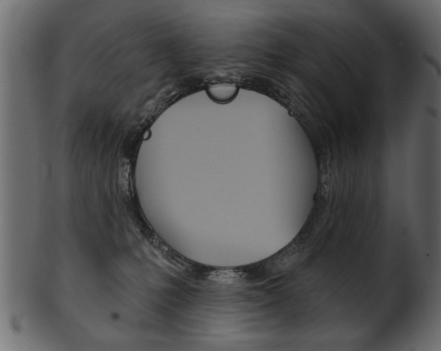 X0000102020231200807180950