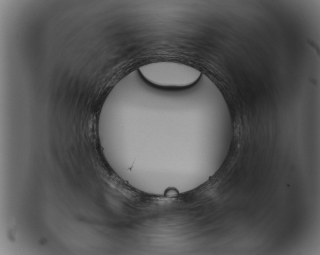 X0000102020233200807180950