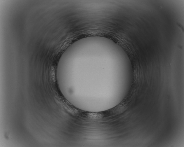 X0000102020234200807180950