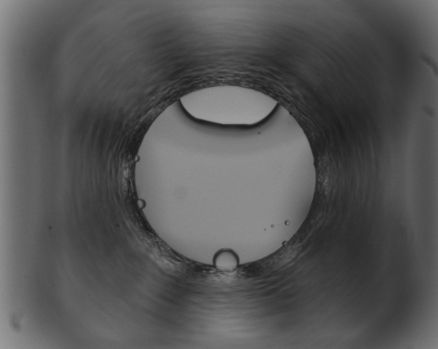 X0000102020235200807180950