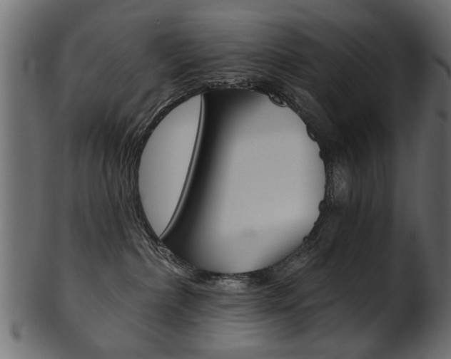 X0000102020236200807180950