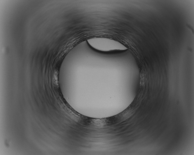 X0000102020238200807180950