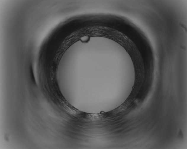 X0000102020239200807180950