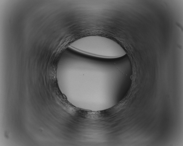 X0000102020240200807180950