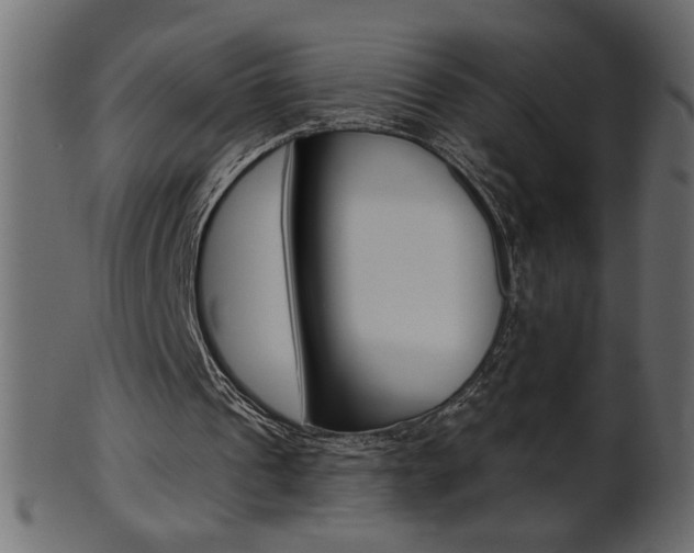 X0000102020241200807180949