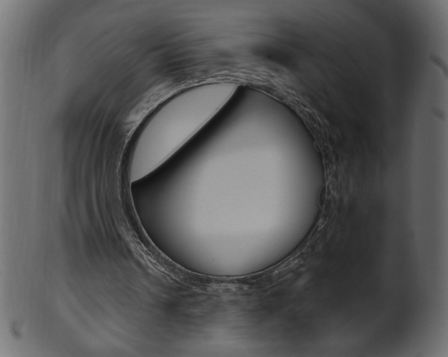 X0000102020242200807180949