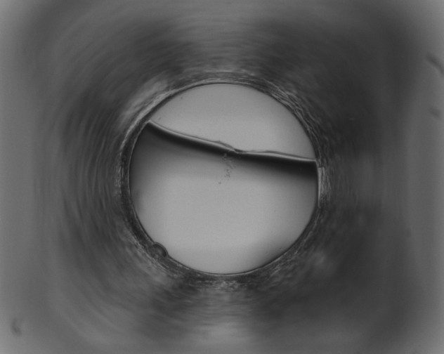 X0000102020243200807180949