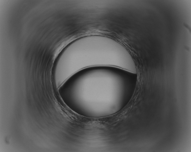 X0000102020244200807180949