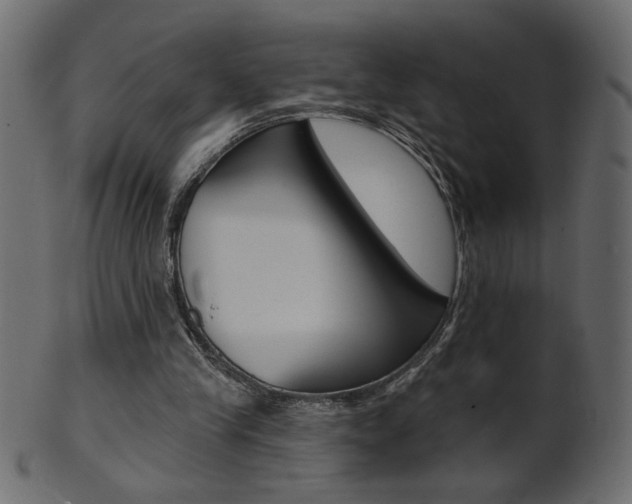 X0000102020245200807180949