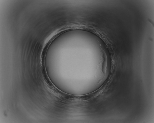 X0000102020246200807180949
