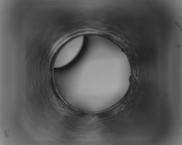 X0000102020247200807180949