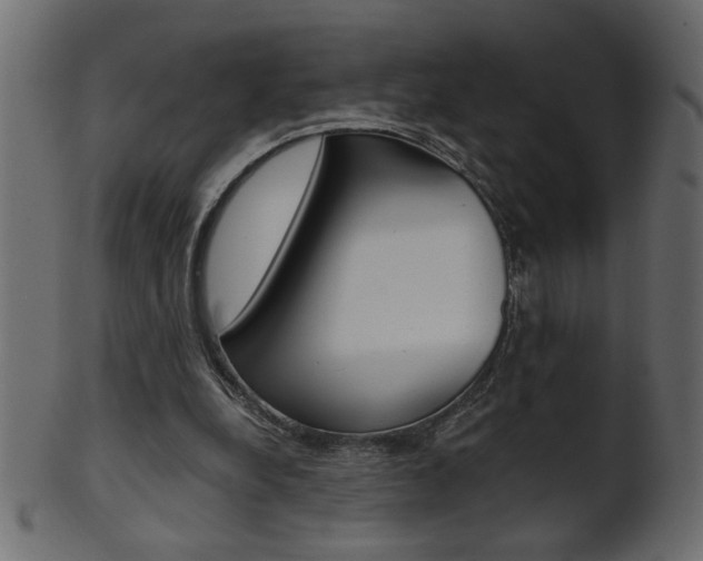 X0000102020248200807180949