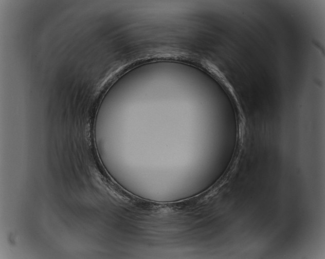 X0000102020249200807180949