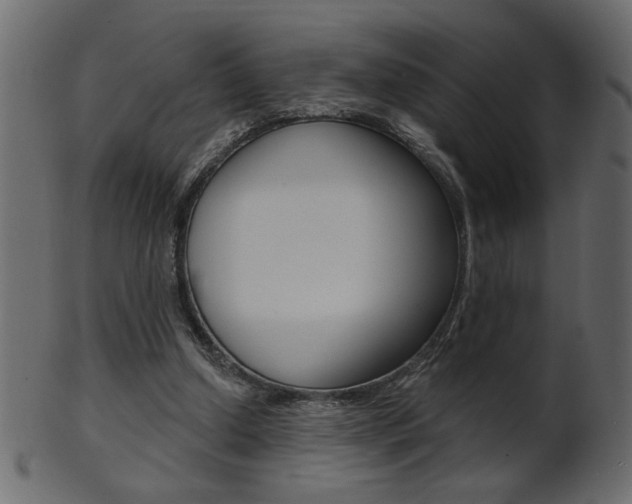X0000102020250200807180949