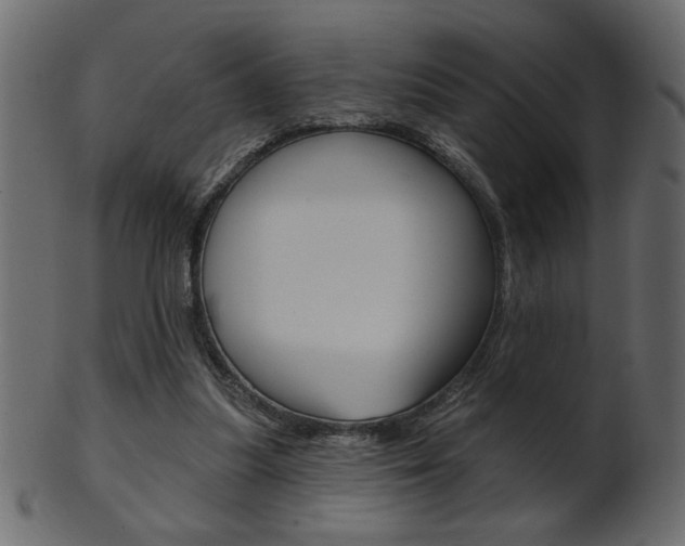 X0000102020251200807180949