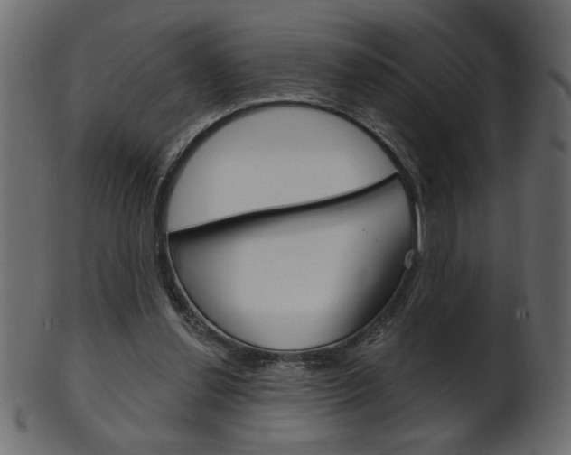 X0000102020252200807180949