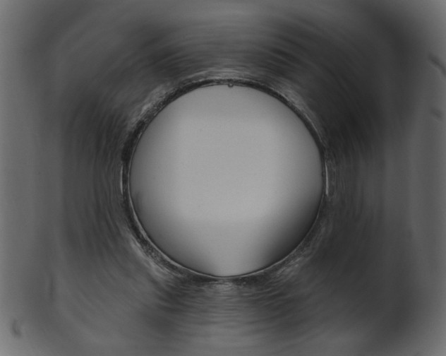 X0000102020253200807180950