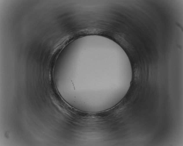 X0000102020254200807180950