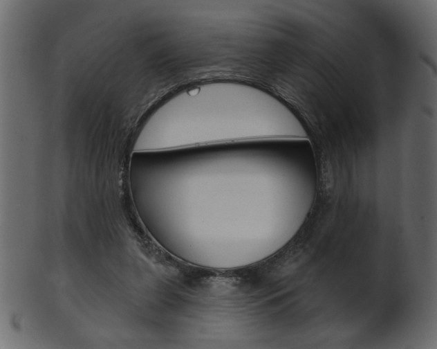 X0000102020255200807180950