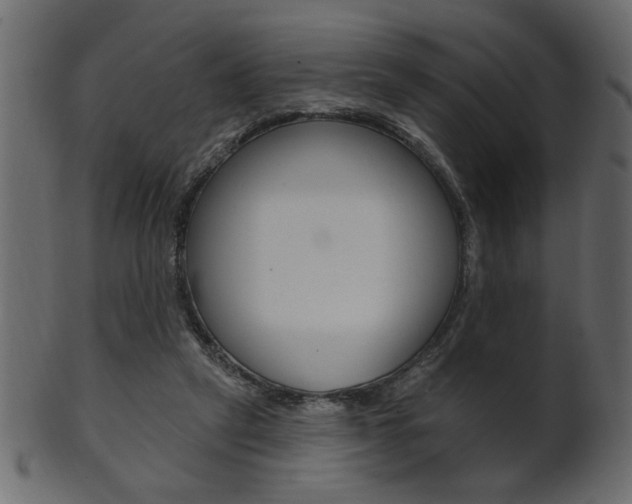 X0000102020257200807180950