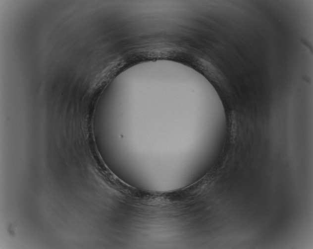 X0000102020258200807180950