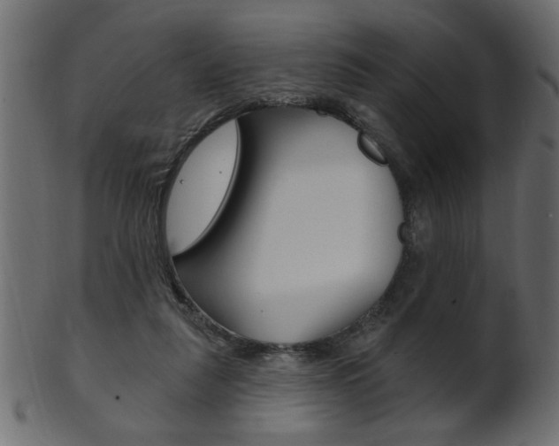 X0000102020259200807180950