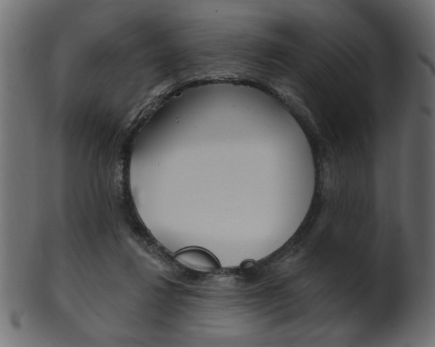 X0000102020260200807180950