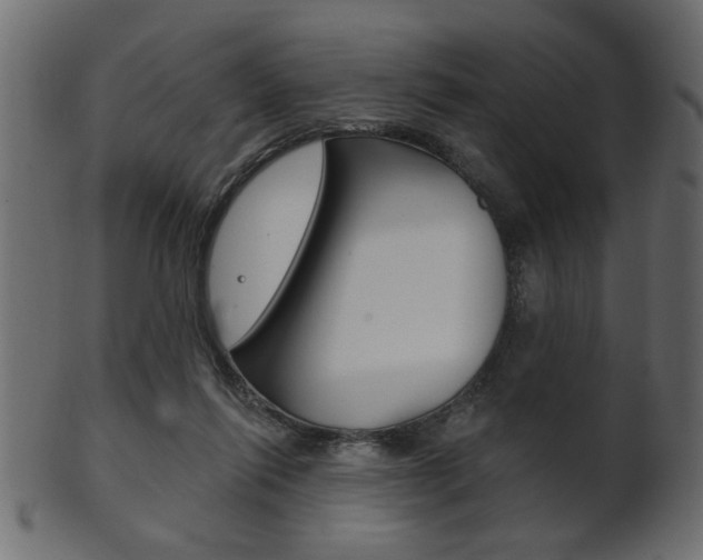 X0000102020262200807180950