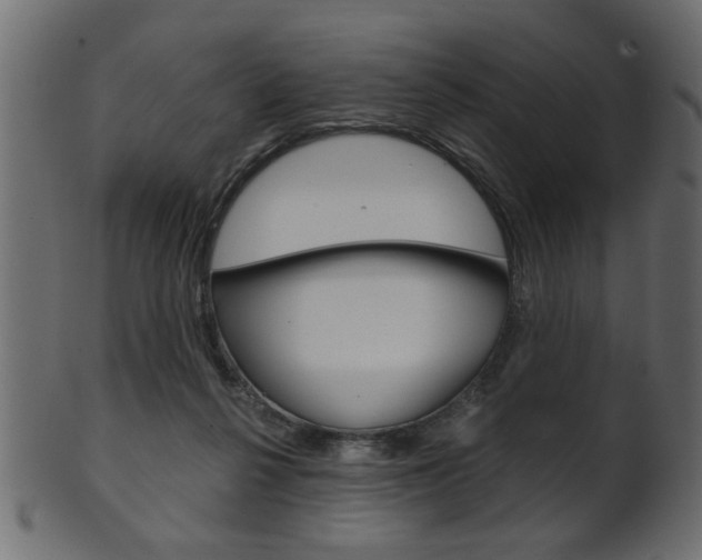 X0000102020264200807180950