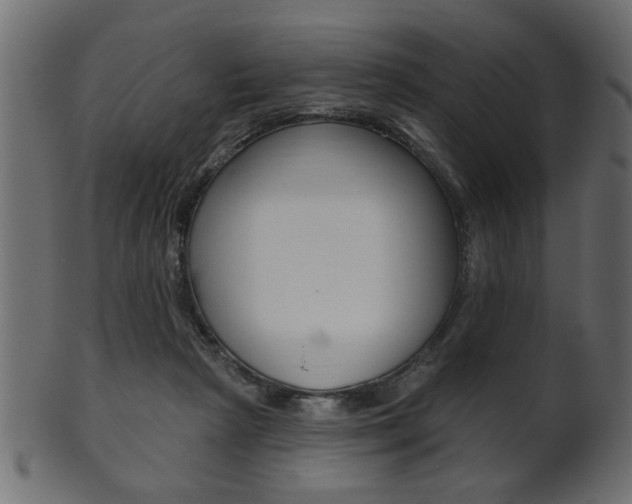X0000102020265200807180950