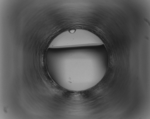 X0000102020267200807180950