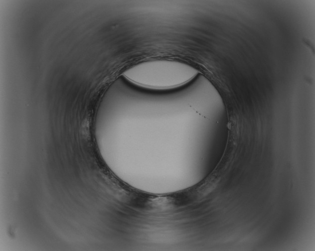 X0000102020269200807180950