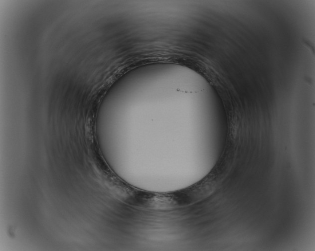 X0000102020270200807180950