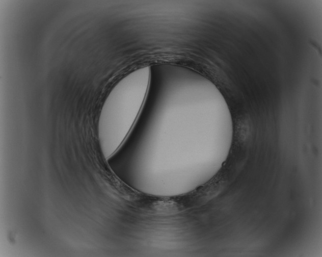 X0000102020271200807180950