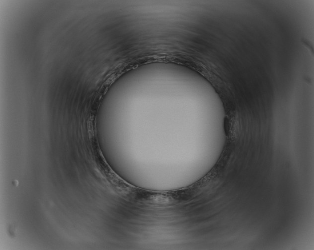 X0000102020272200807180950