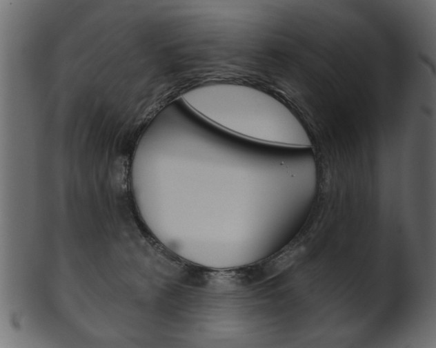 X0000102020273200807180950