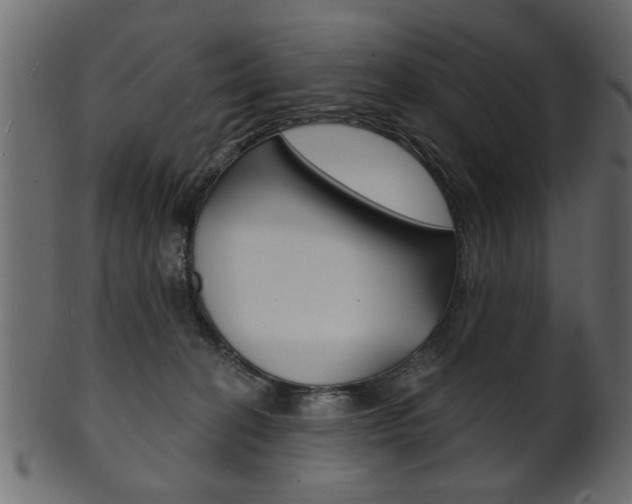 X0000102020274200807180950