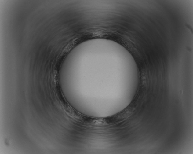 X0000102020275200807180950
