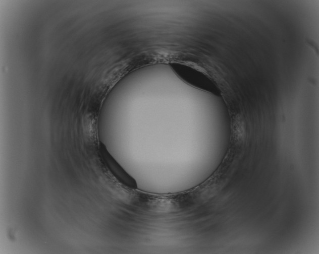 X0000102020276200807180950