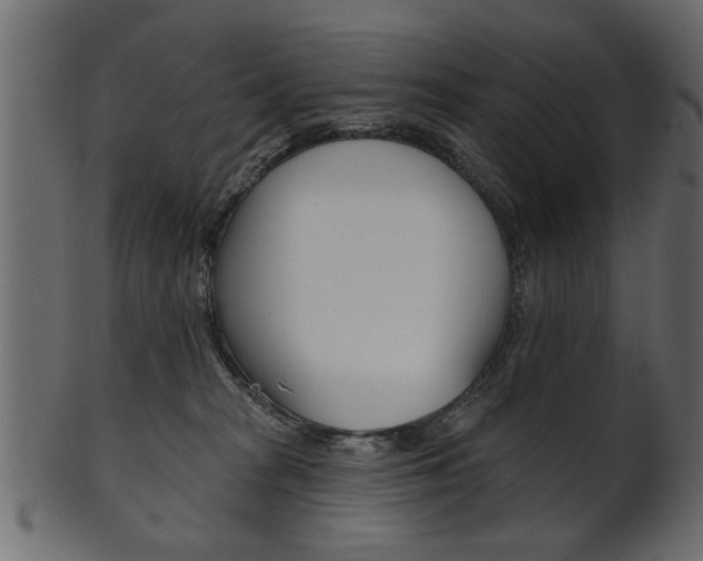 X0000102020277200807180950