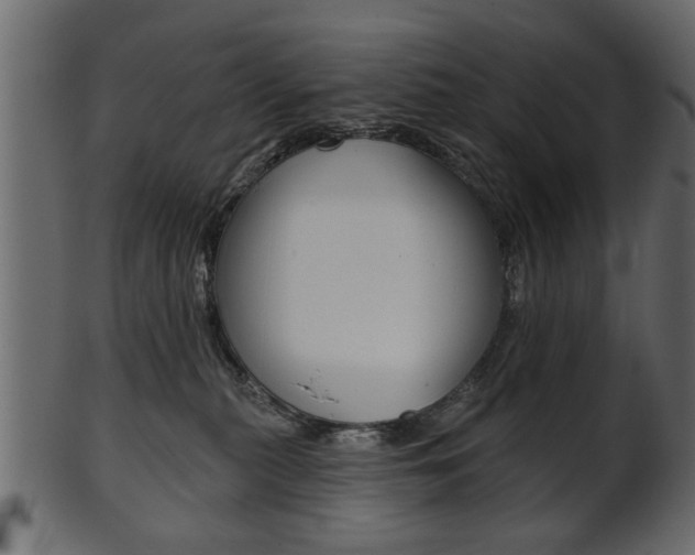 X0000102020279200807180950
